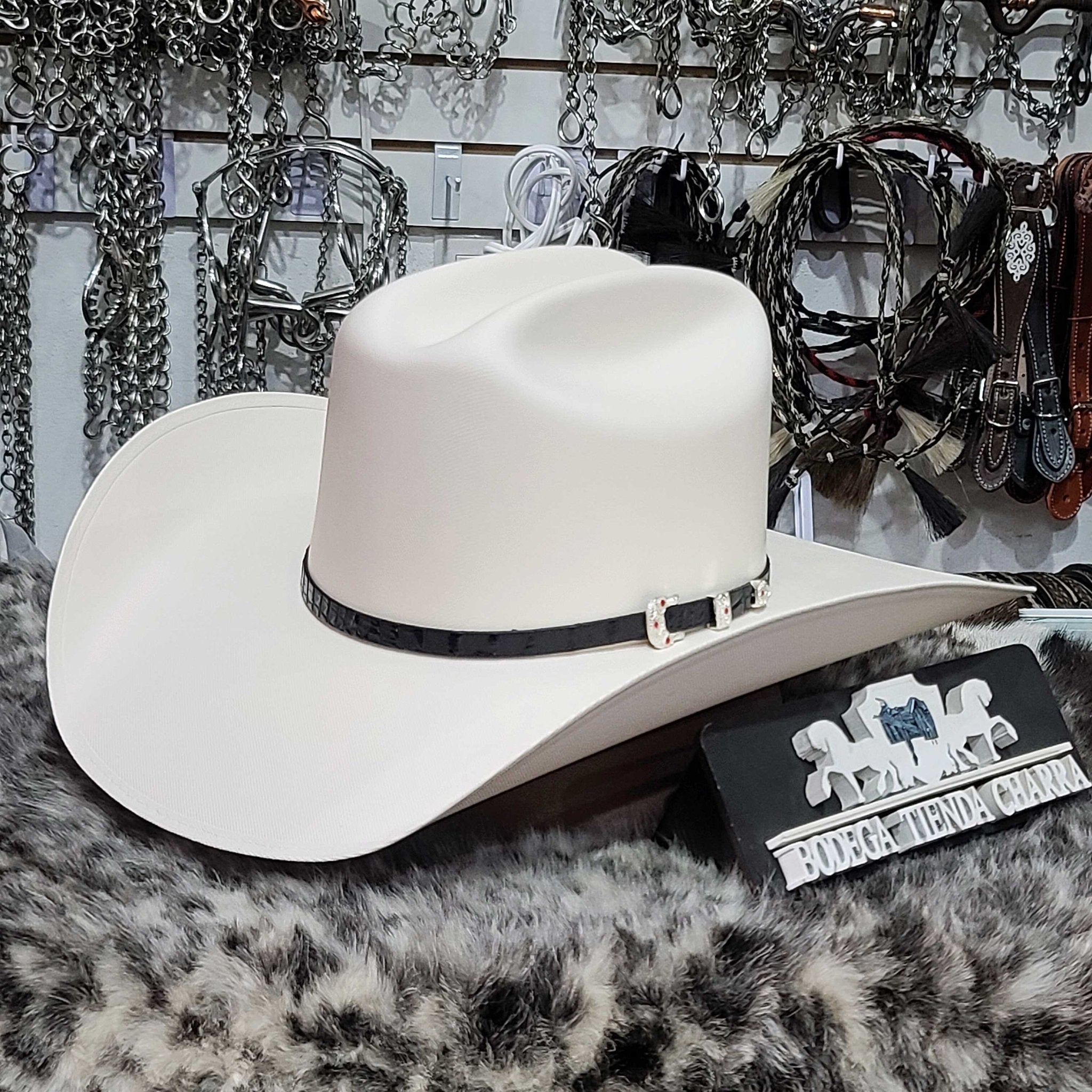 Stetson hats 5000x deals