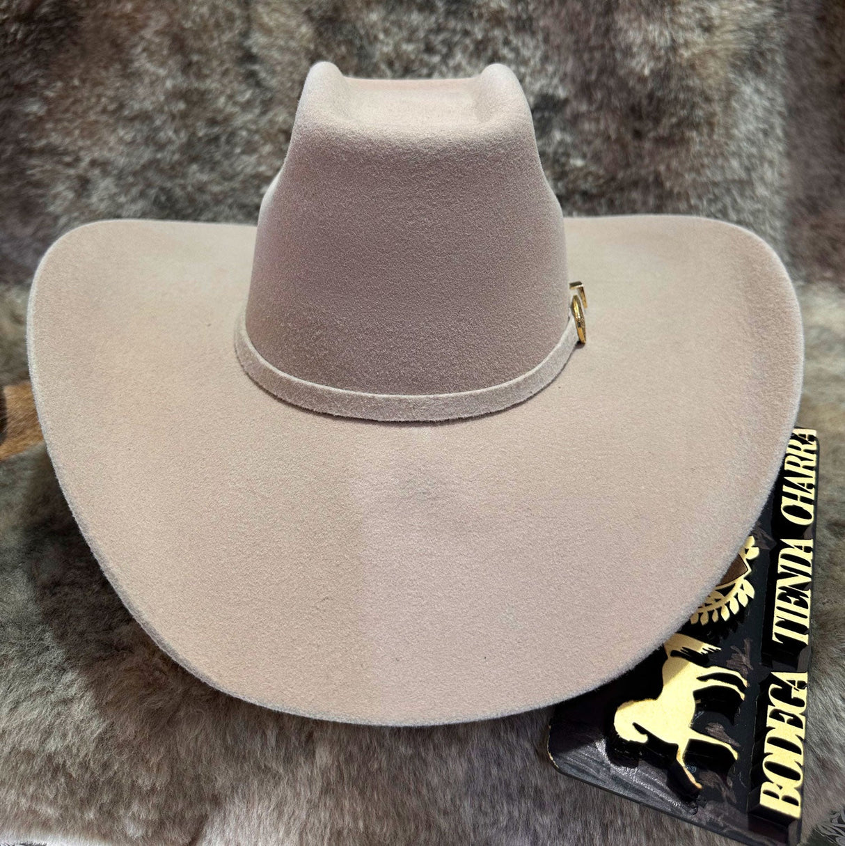 Texana modelo 8 Segundos (color beige) - Tiendacharra.com - Bodega Tienda Charra